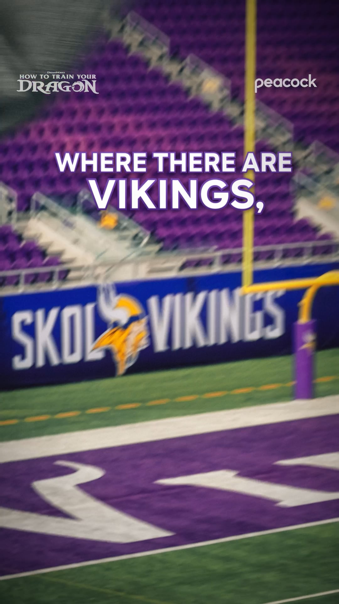 How to train your dragon nfl team vikings end zone